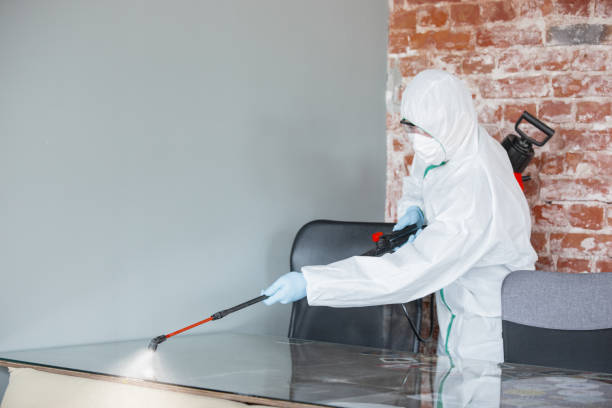 Best Mold Removal for HVAC Installations  in Davisboro, GA