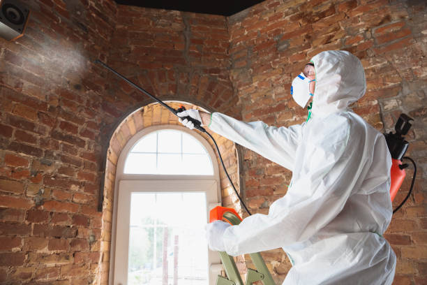 Best Comprehensive Air Testing for Mold Contaminants  in Davisboro, GA